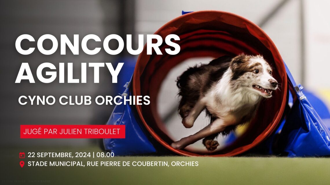 Dimanche 22 septembre 2024 : concours d’agility